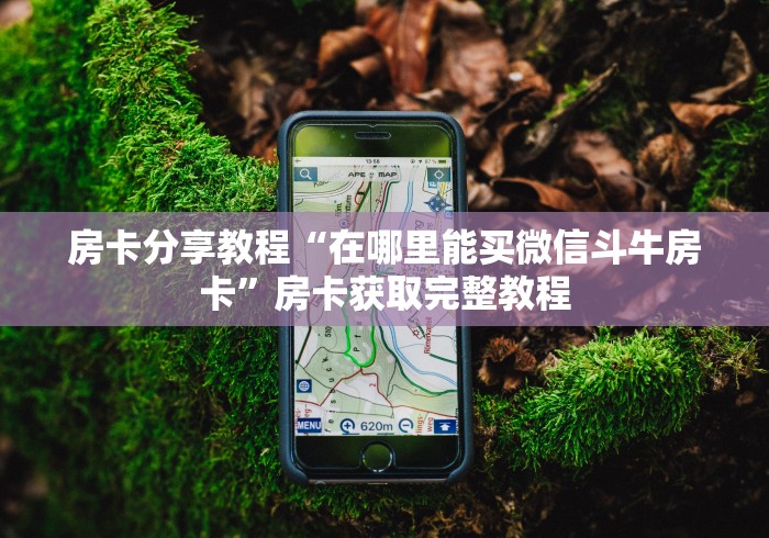 玩家攻略“微信牛牛房卡金花房卡”详细房卡教程
