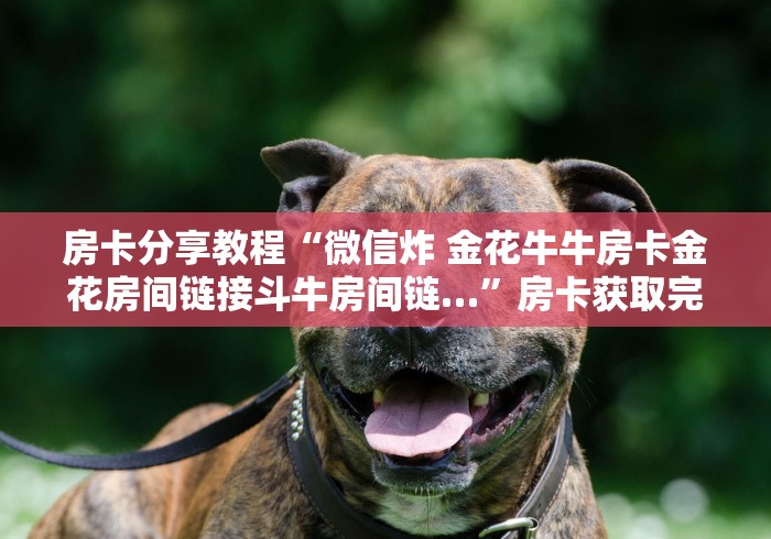 房卡必备教程“微信炸 金花链接怎么搞”详细房卡使用教程 房卡必备教程“微信炸 金花链接怎么搞”详细房卡使用教程