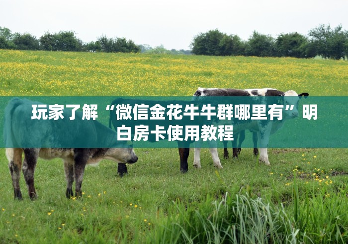 秒懂百科“微信炸 金花房卡链接”详细房卡使用教程