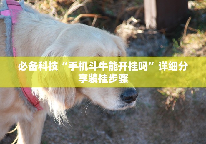 房卡必备教程“微信炸 金花在哪里充值卡”链接房卡在哪里获取