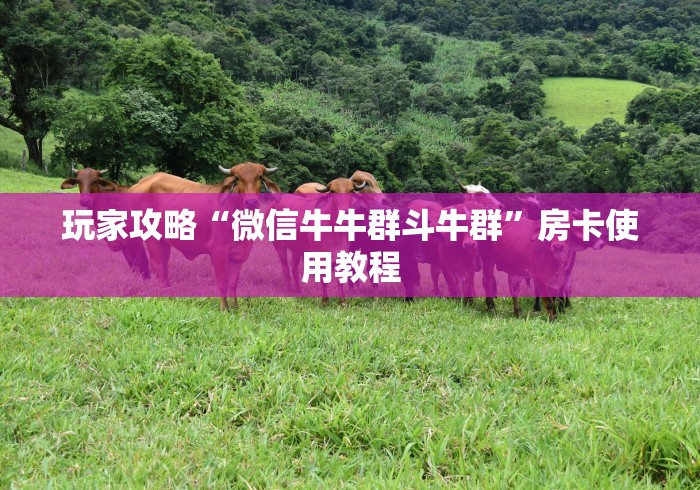 玩家攻略“微信牛牛群斗牛群”房卡使用教程