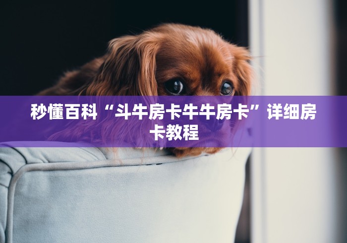 房卡必备教程“微信斗牛牛房卡在哪里买”房卡使用教程