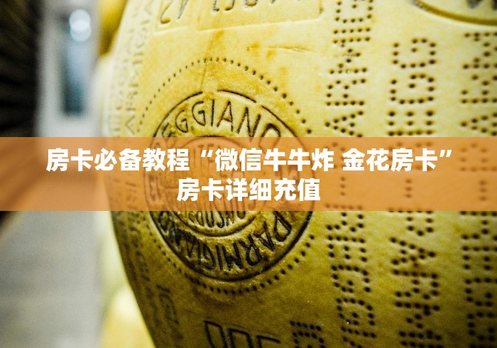 房卡必备教程“微信牛牛炸 金花房卡”房卡详细充值