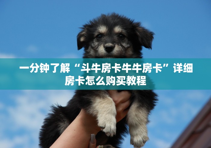 一分钟了解“斗牛房卡牛牛房卡”详细房卡怎么购买教程