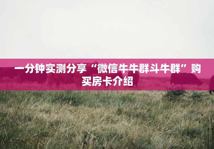 一分钟实测分享“微信牛牛群斗牛群”购买房卡介绍