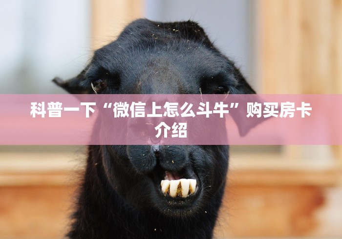 科普一下“微信上怎么斗牛”购买房卡介绍