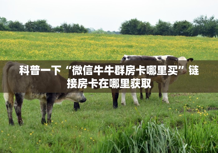 科普一下“微信牛牛群房卡哪里买”链接房卡在哪里获取