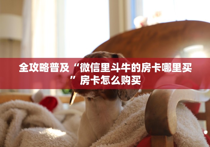 全攻略普及“微信里斗牛的房卡哪里买”房卡怎么购买