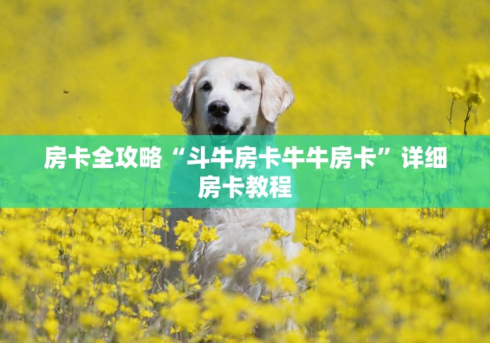 房卡全攻略“斗牛房卡牛牛房卡”详细房卡教程